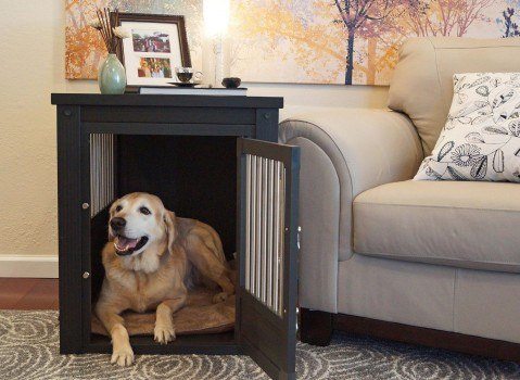 New-age-pet-Ecoflex-crate-e1442603561765.jpg New age pet Ecoflex crate in a living room with a picture frame on top and golden retriever inside