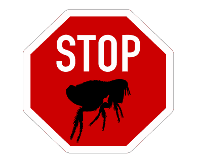 Treatment-for-fleas.png