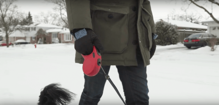 Walkease Winter Glove