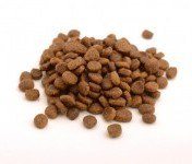 Different-Types-of-Dog-Food.jpg