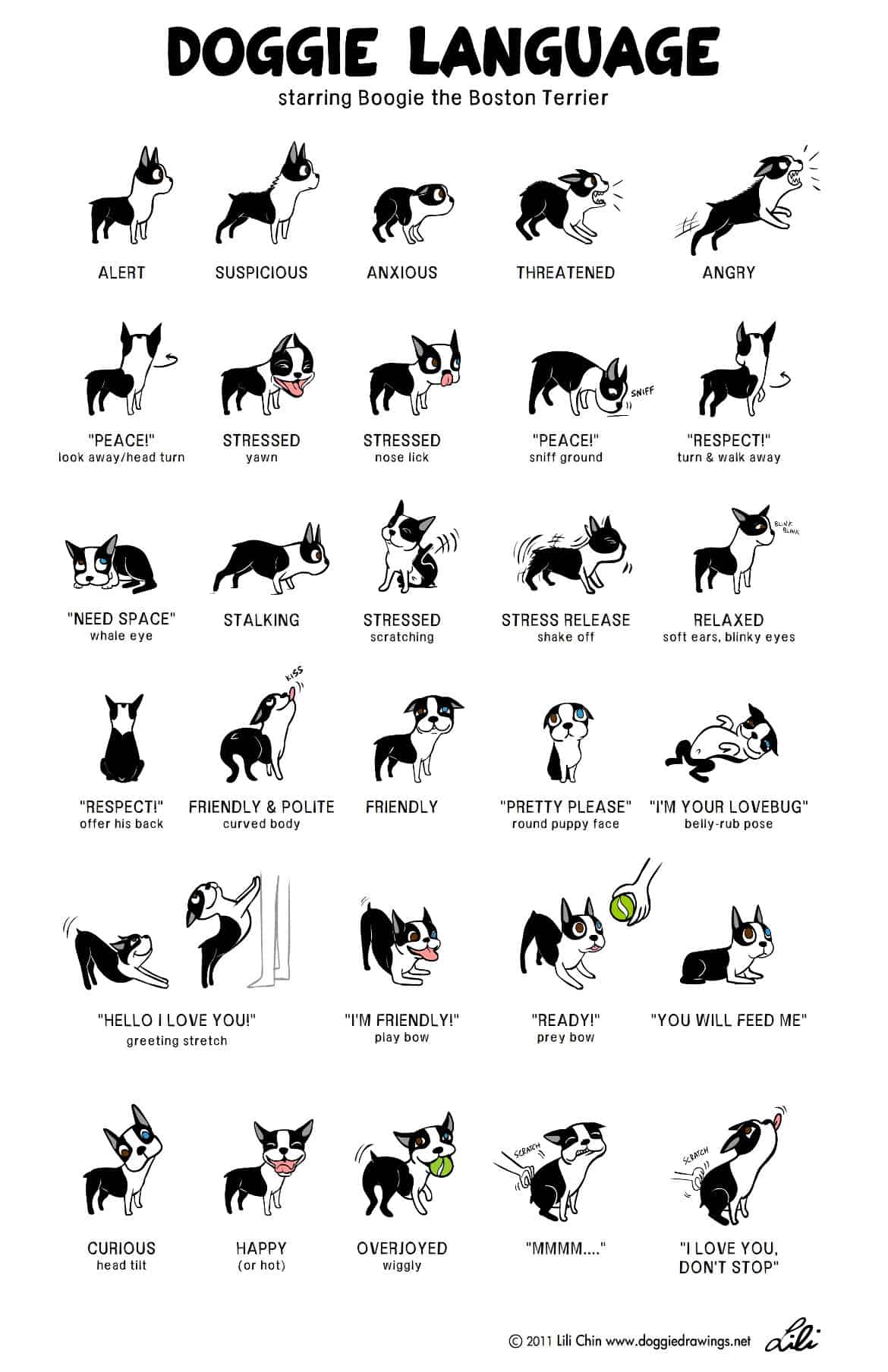 Hunde Körpersprache Poster von Lili Chin bei doggiedrawings.net