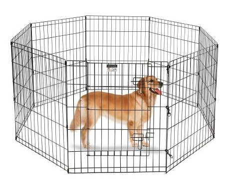 cage train a puppy