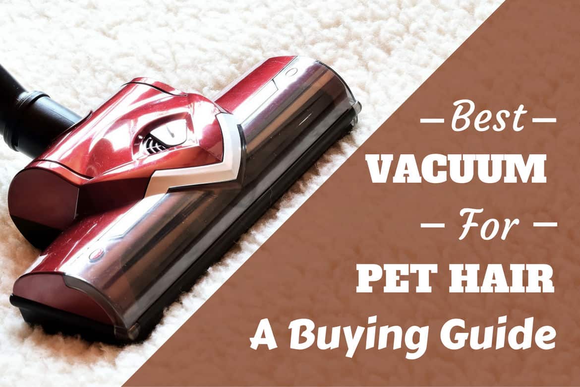 Hate Dog Hair at Home? Best Pet Vacuum (Buying Guide and Reviews 2020)