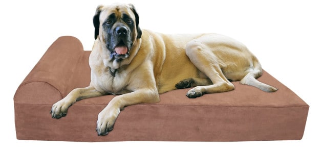dog beds large dogs