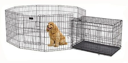 dog crate with bathroom area