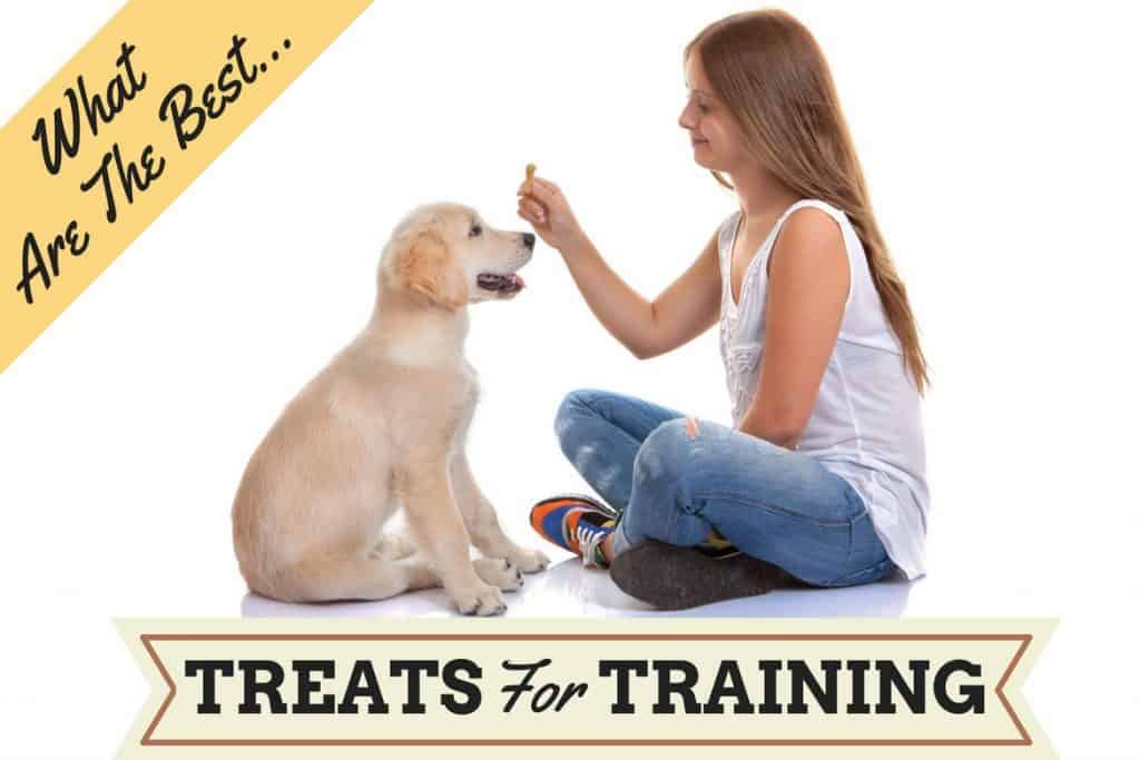 healthy dog training treats