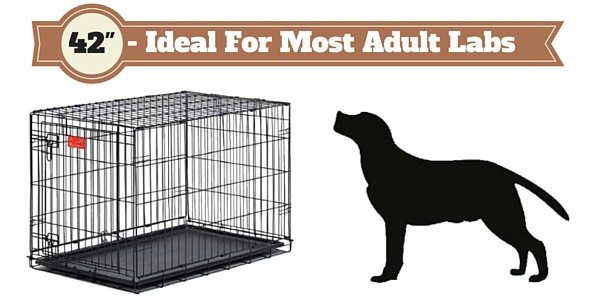 Puppy Crate Size Chart