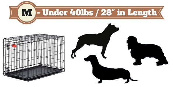 Midwest Dog Crate Size Chart