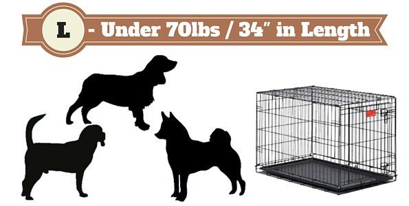 Kong Crate Size Chart