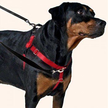 dog harness to help with pulling