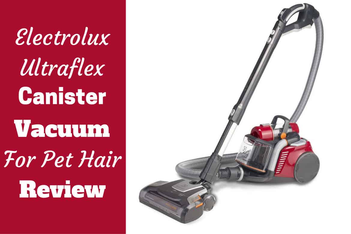 Canister vacuum cleaners. Пылесос Electrolux Ultraflex. Canister Vacuum. Пылесос 2019. Электролюкс ультра Фильтратион пылесос.