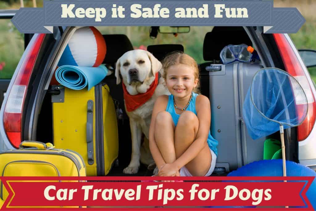 dog car travel tips