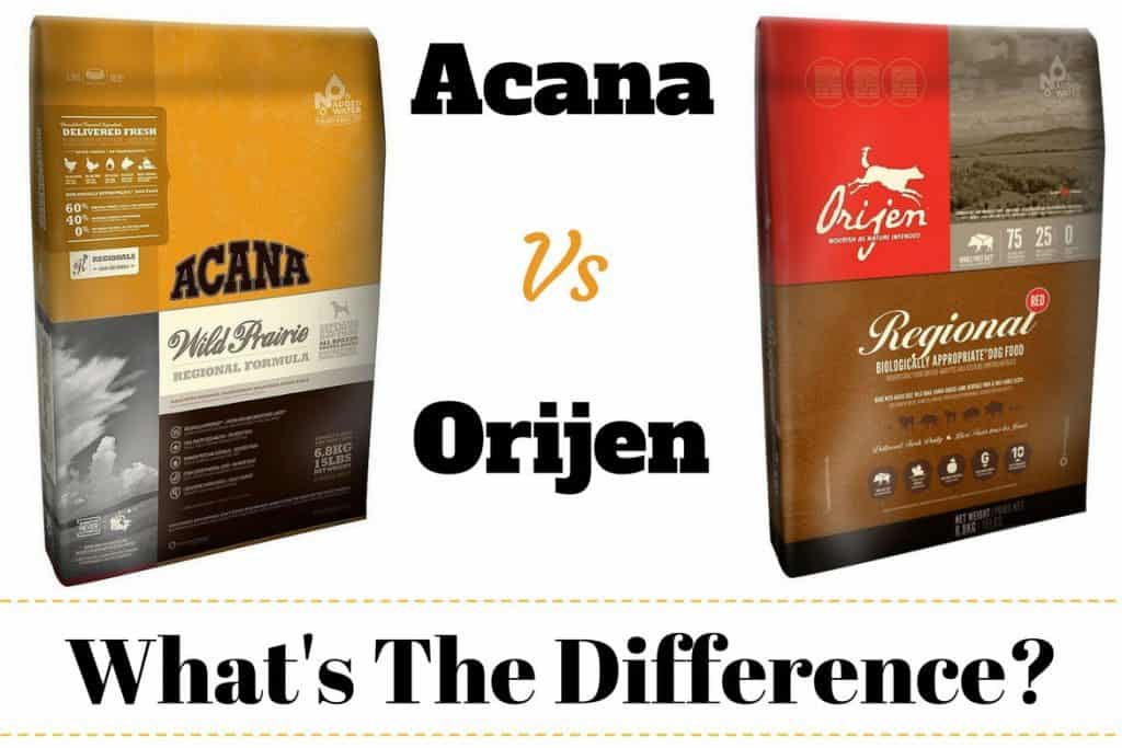 Acana vs Orijen: What's the Difference 