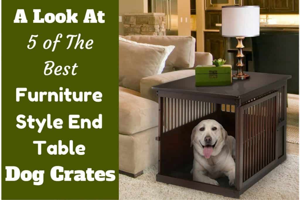 best home dog crate