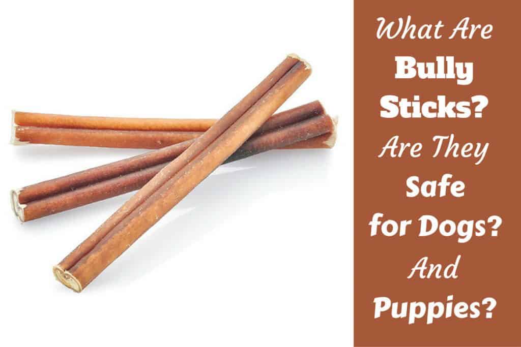 dog chew sticks for puppies