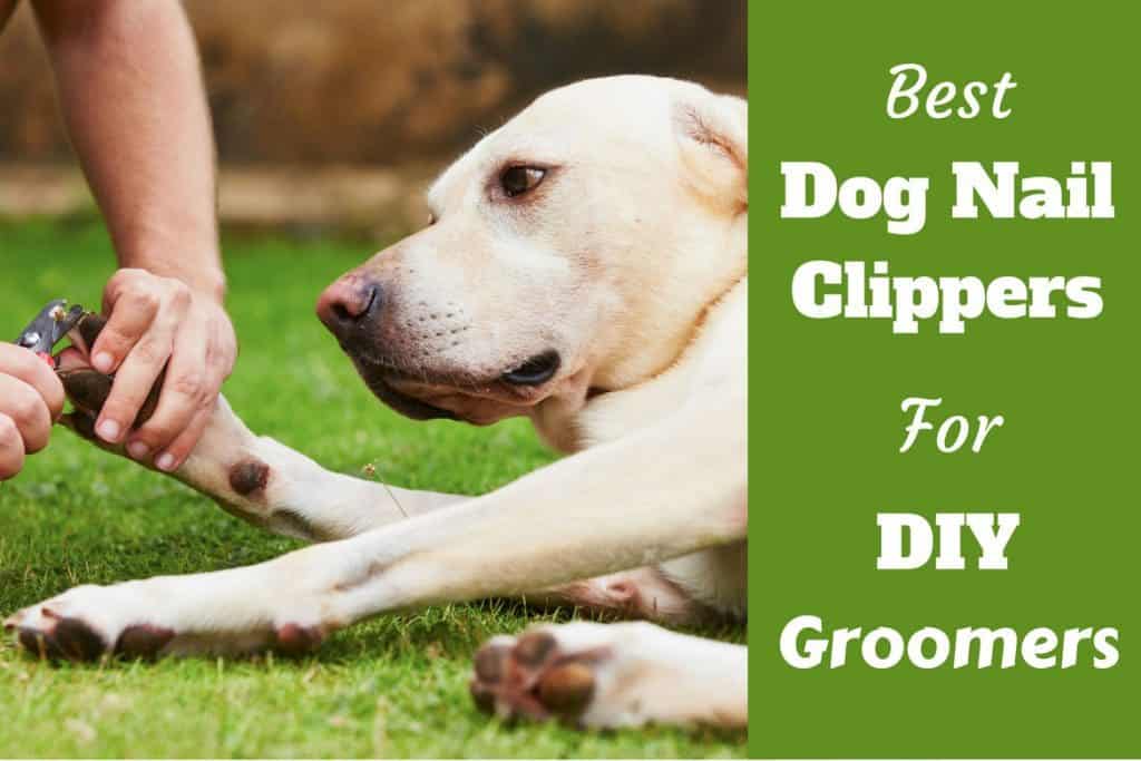 different types of dog nail clippers