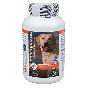 joint pain dogs glucosamine