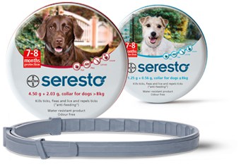 best flea collar for puppies best flea collars for dogs plus how they work should you use one best flea collar for puppies best flea collars for dogs plus how they work should you use one