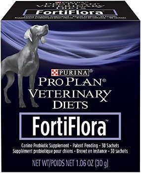 probiotics for dogs chewy