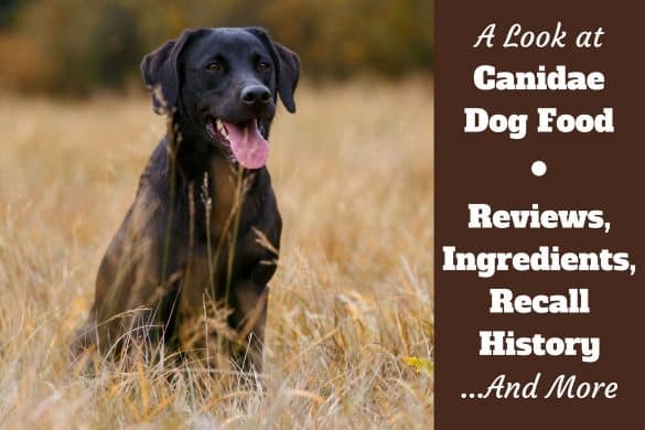 Canidae Dog Food Recall Canidae Dog Food Recall
