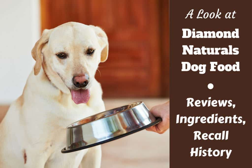 Diamond Naturals Dog Food Reviews, Ingredients, Recall History and Our