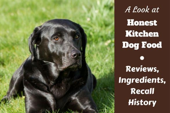 Discover The Types Of Dog Food That Is Best For Your Labs Honest Kitchen Dog Food Review Ings And Recall History Written Beside A Black Lab On