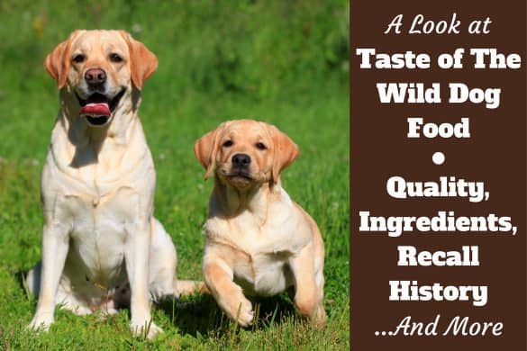 dog food advisor taste of the wild