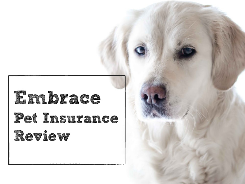 embrace pet insurance reviews