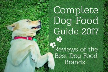 Rachael Ray Dog Food Reviews >> Labrador Training HQ - Everything Labrador Retriever Rachael Ray Dog Food Reviews >> Labrador Training HQ - Everything Labrador Retriever