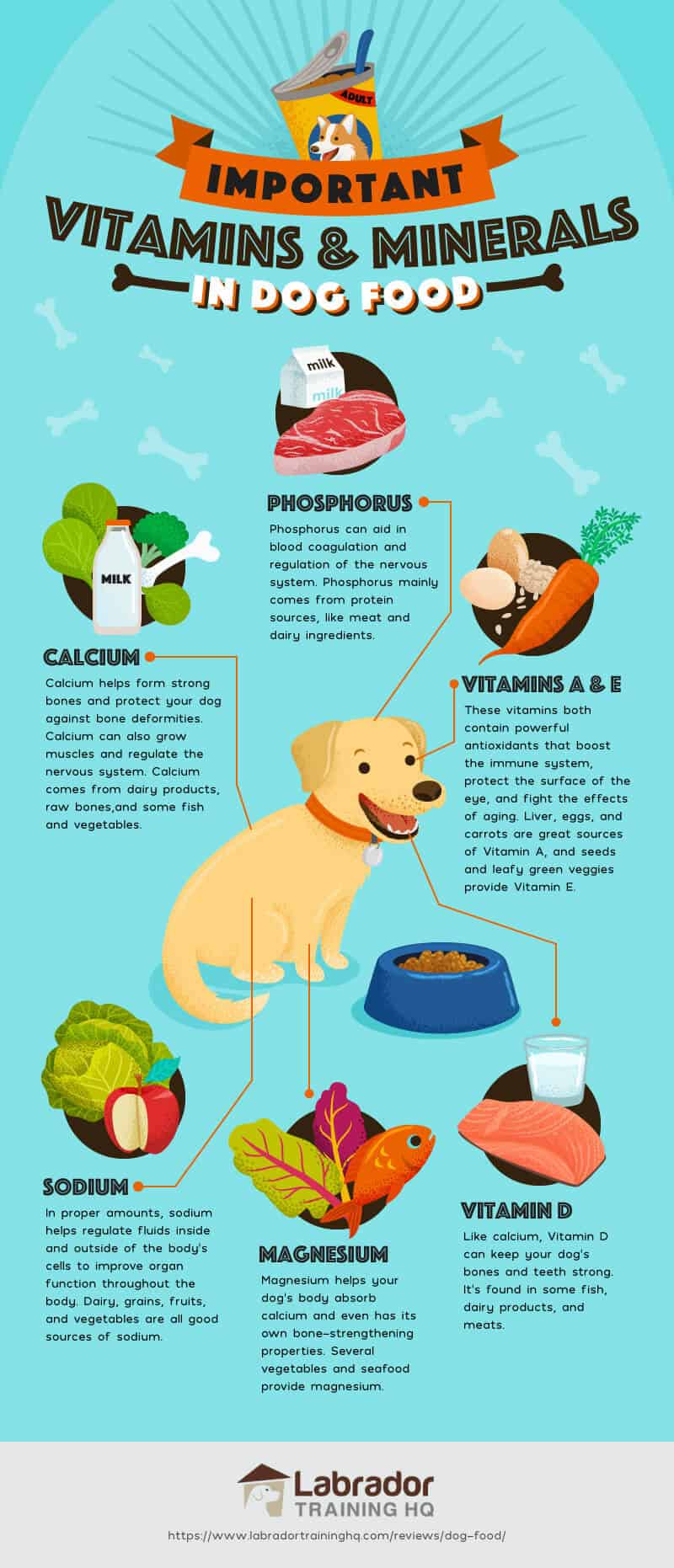 Dog Food Grading Chart