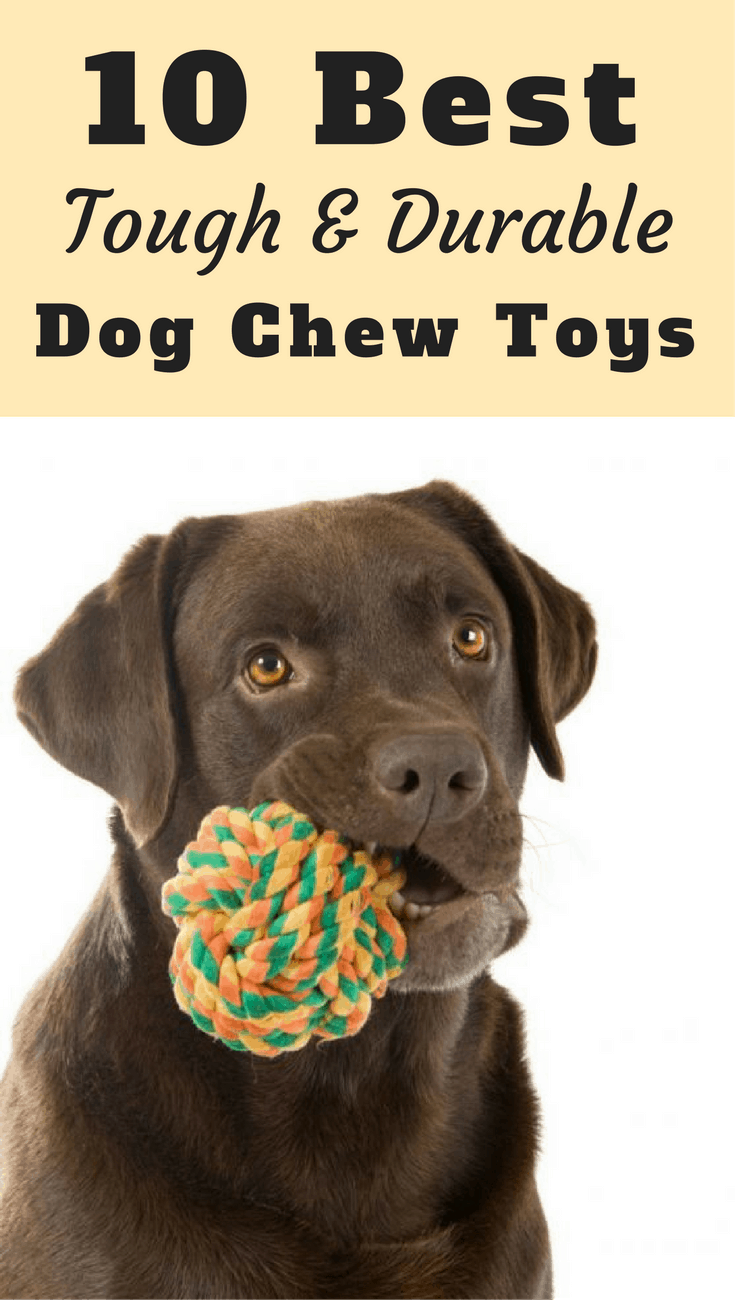 best plush dog toys for heavy chewers