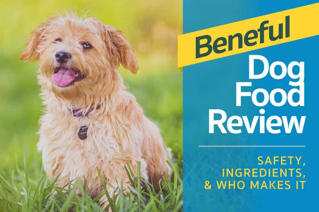 beneful salmon dog food reviews