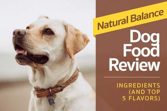 Natural Choice Puppy Food Reviews Natural Choice Puppy Food Reviews