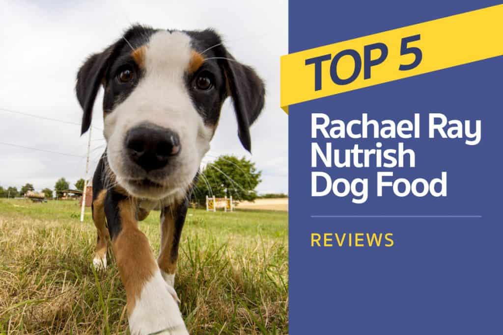 dog food advisor rachael ray