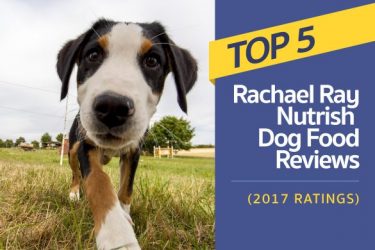 rachael nutrish food review labrador hq everything labrador retriever rachael nutrish food review labrador hq everything labrador retriever