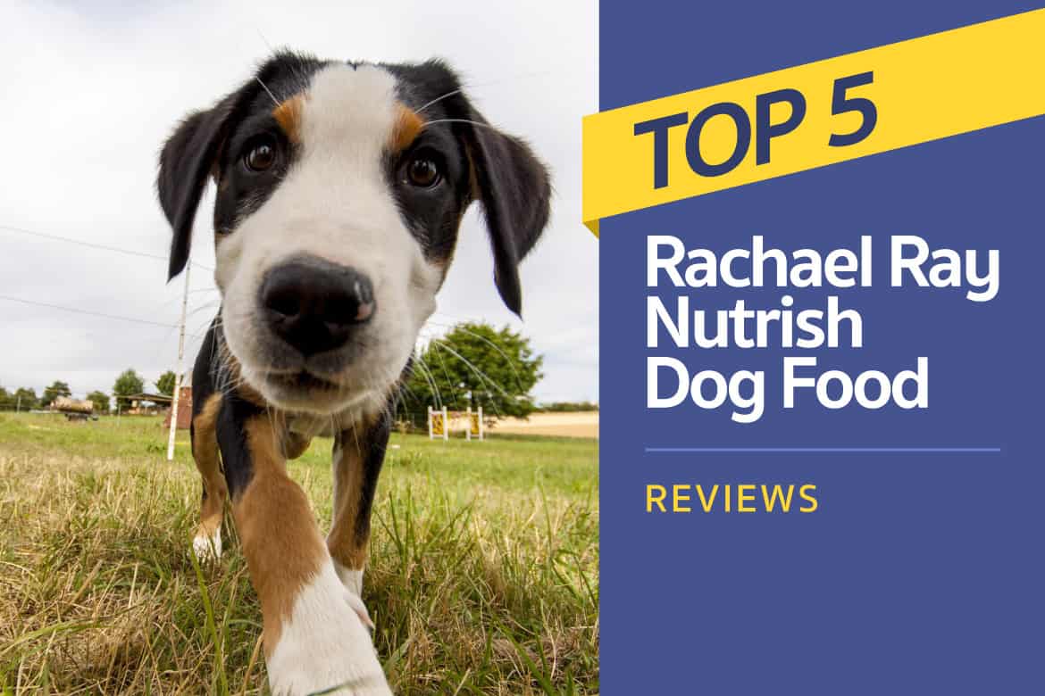 Rachael Ray Dog Food Feeding Chart