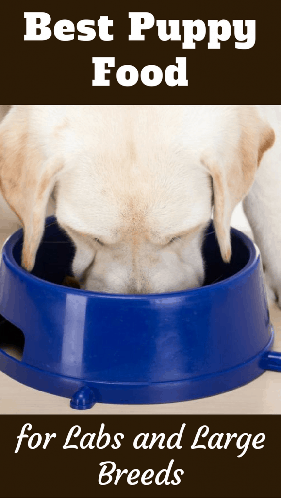 Blue Buffalo Puppy Food Weight Chart