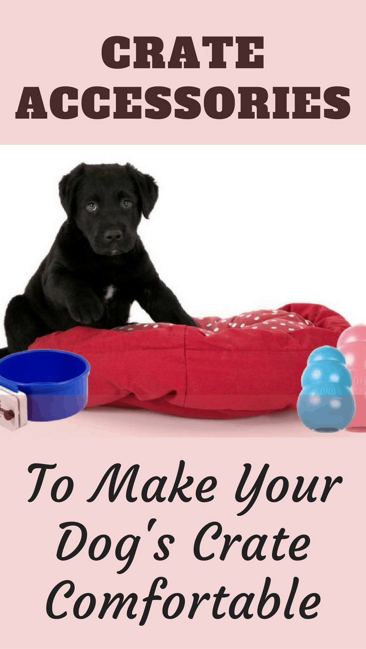 After selecting the right size crate (and if you need help, please see our handy dog crate size guide) you want to make it a pleasant and welcoming place for your dog to spend time in. You need to add a few 'creature comforts'. Check out our recommended list!