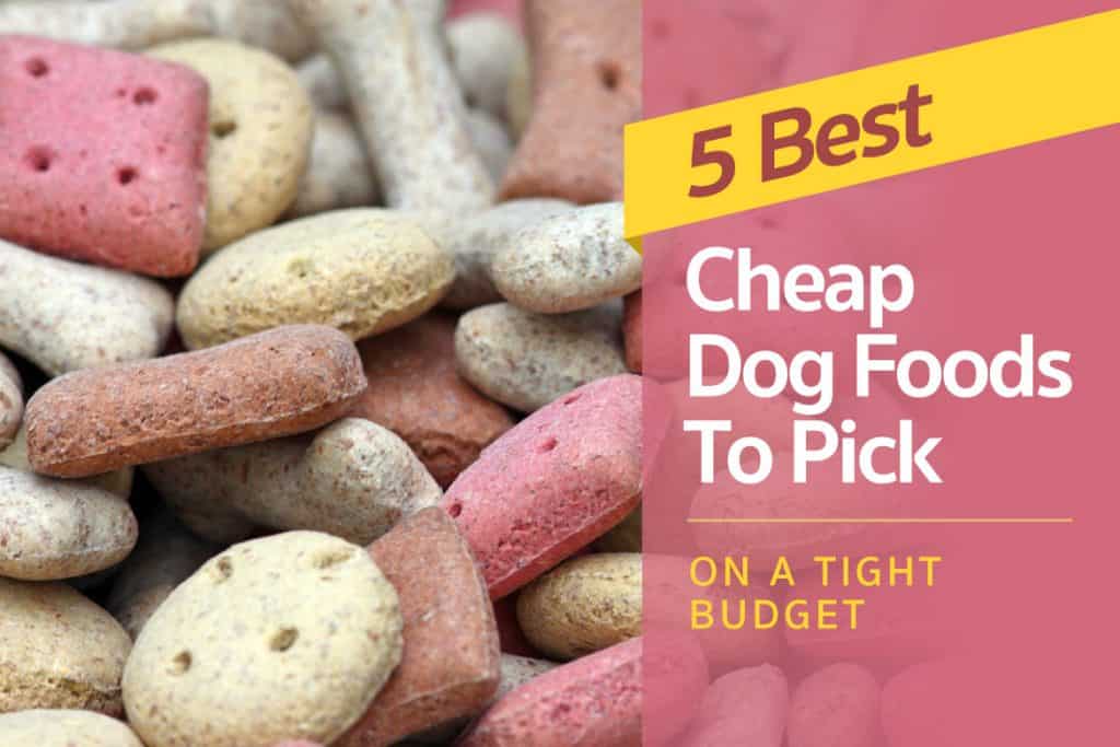 5 Best Cheap Dog Foods To Pick On A Tight Budget
