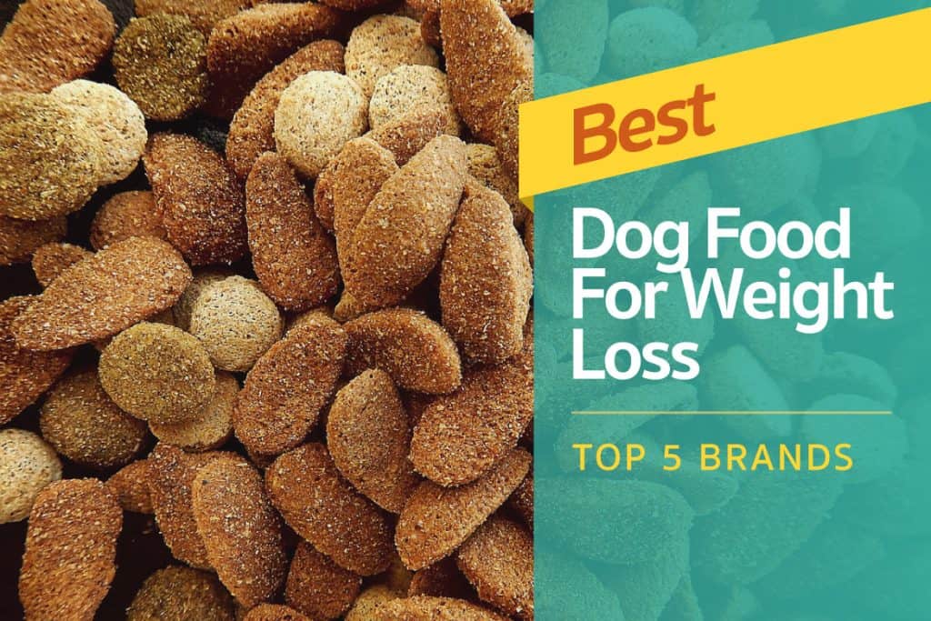 best weight loss dog food for small breeds
