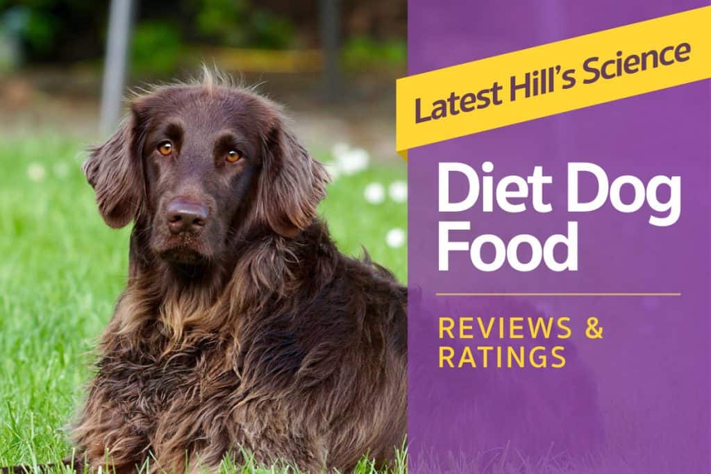 Latest Hill's Science Diet Dog Food Reviews & Ratings