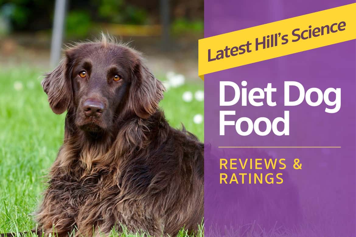 Latest Hill s Science Diet Dog Food Reviews Ratings