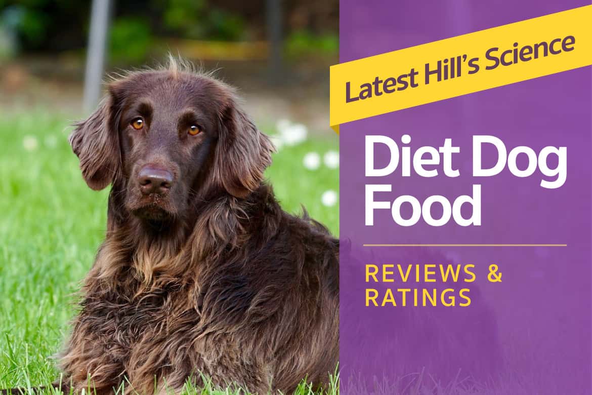 latest-hill-s-science-diet-dog-food-reviews-ratings