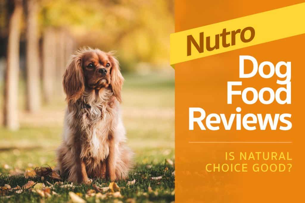 nutro natural choice limited ingredients dry dog food