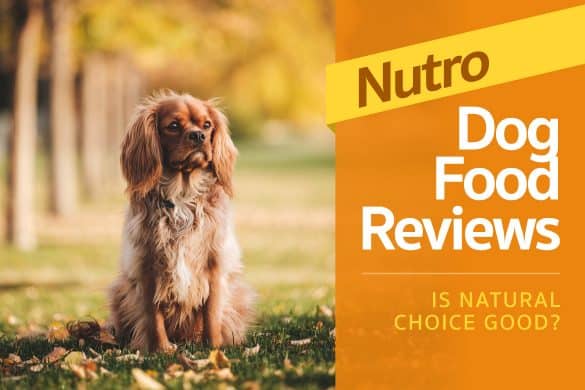 Nutrish Dog Food For Puppies Nutrish Dog Food For Puppies