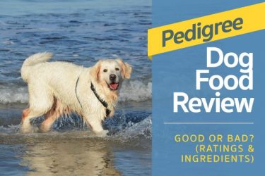 Purina Beneful Dog Food Good Or Bad Purina Beneful Dog Food Good Or Bad