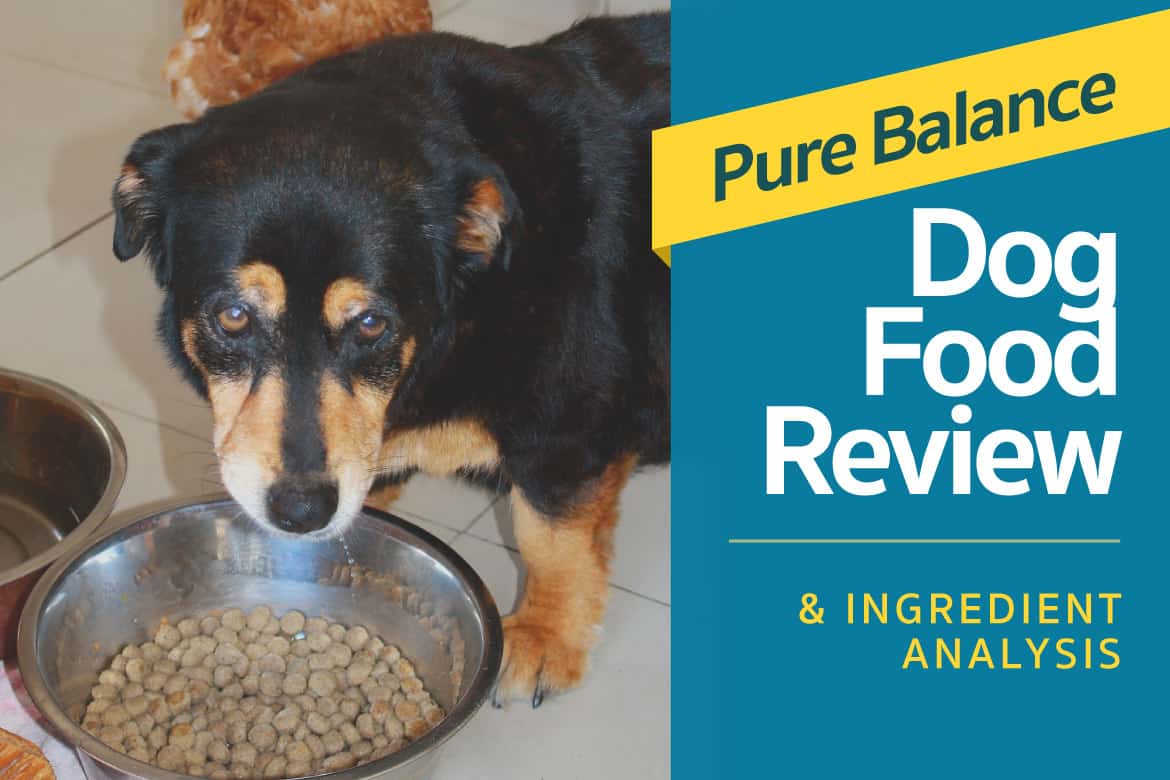 Pure Balance Canned Dog Food Feeding Chart