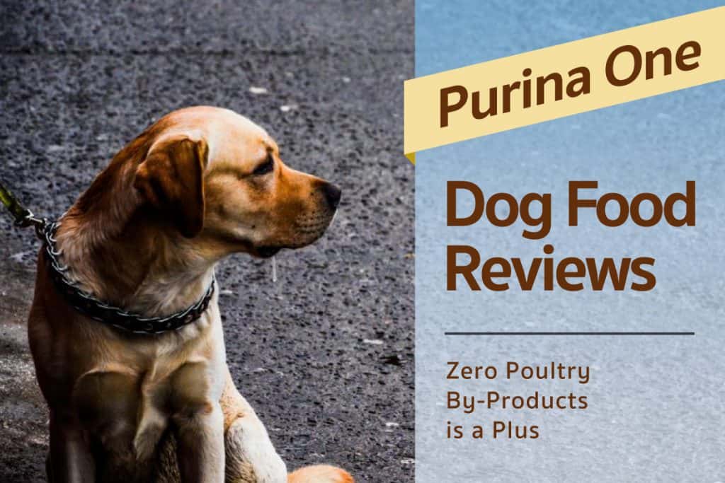 dog food advisor purina one smartblend