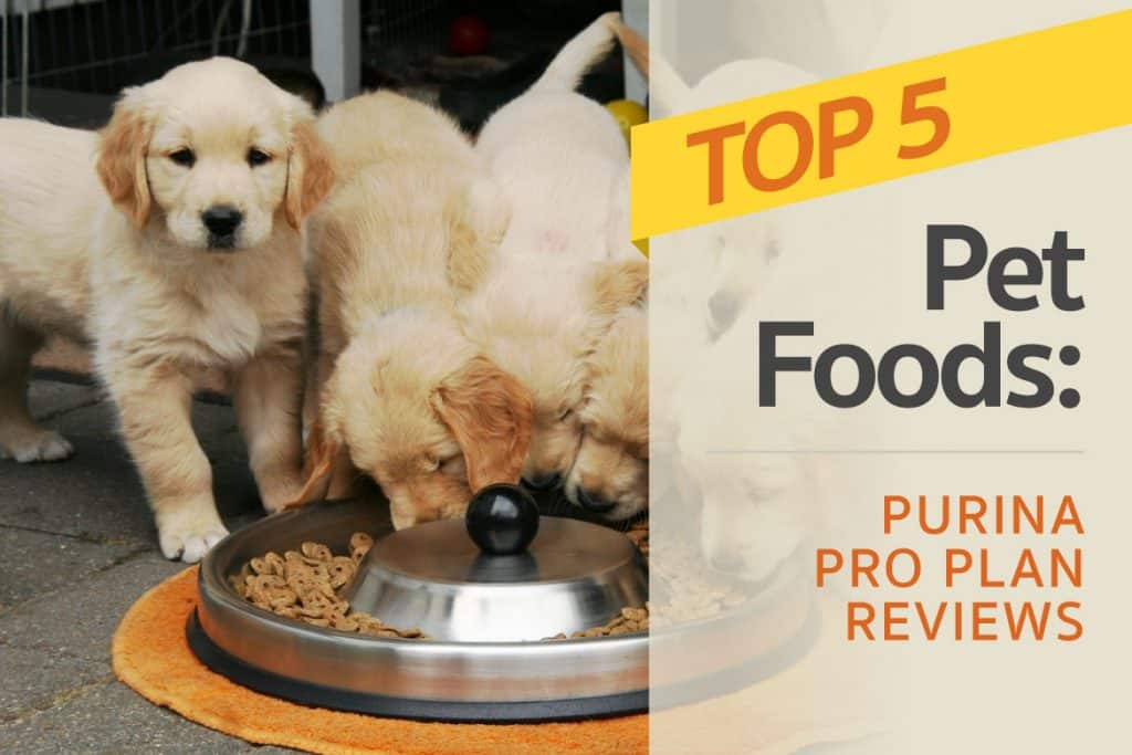 pro plan large breed puppy review