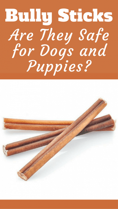 what are bully sticks
